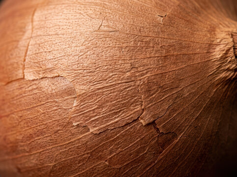 Extreme close up of dry golden shallot onion skin texture