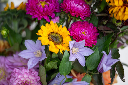 Beautiful colorful summer flower background for florist purposes