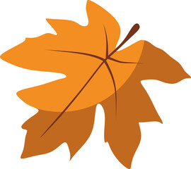 Naklejka premium Autumn Maple Leaf Illustration