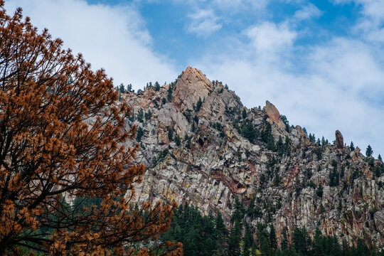 Rugged mountain peak with an orange pine tree