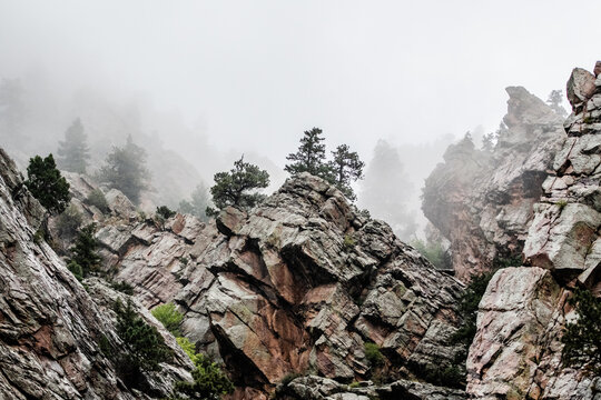 Rugged rocky cliffs with pine trees in heavy fog