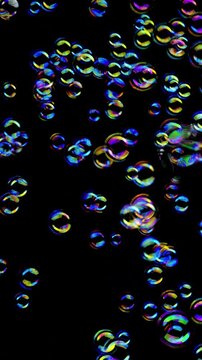 Iridescent Soap Bubbles on Black Background. Colorful transparent bubbles float upward, creating a vibrant abstract motion background.