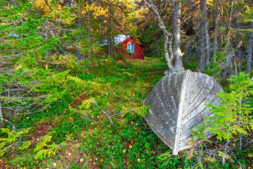 Overturned wooden rowboat in coniferous forest with a red croft © Lars Johansson