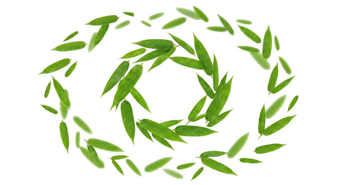 Green bamboo leaves arranged in a swirling circular pattern on white background