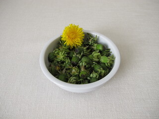 Freshly picked green dandelion buds in a small bowl © Heike Rau