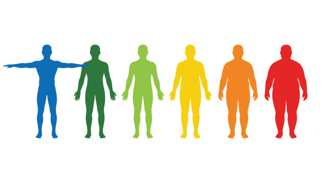 Colorful human body silhouettes showing different physical shapes and sizes in a vibrant rainbow gradient sequence