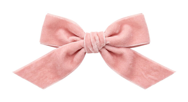 Soft pink velvet bow with elegant knot and flowing tails