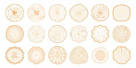 Wood Log Cross Sections Vector Illustration Set With Natural Grain © Rohan