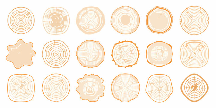Wood Log Cross Sections Vector Illustration Set With Orange Tones