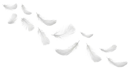 Delicate white feathers gently floating and drifting across a clean white background © Sapphire