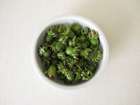 Freshly picked green dandelion buds in a small bowl