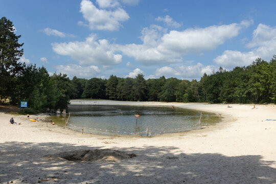 Sunny summer view of the Zwarte Dennen Lake, in Staphorst Forest, Punthorst, near Meppel, the Netherlands. It is a popular swimming and recreation spot in Overijssel.