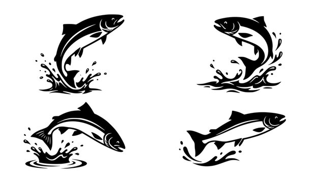 Salmon Jumping Out of Water Vector Illustration Pack