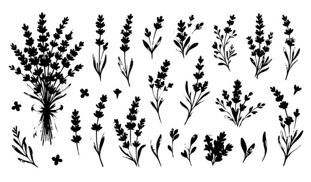 Blue violet lavender botanical flower set with watercolor style wild spring leaves vector illustration
