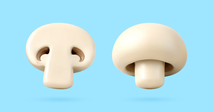Two stylized mushroom icons isolated on light blue background. 3D render of champignon fungus in cross section and whole. Healthy food element for culinary design and organic diet concept.