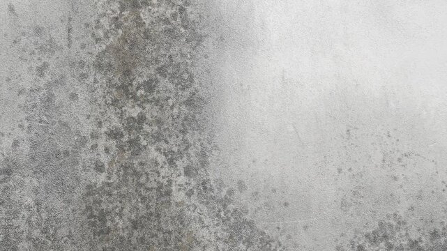 Grunge Concrete Wall with Black Mold and Water Stain Marks, Weathered Urban Texture 