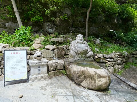Chuncheon, South Korea - June 24, 2026: The stone statue of Budai, the Laughing Buddha, holding water and welcomes visitors in Cheongpyeongsa Temple 