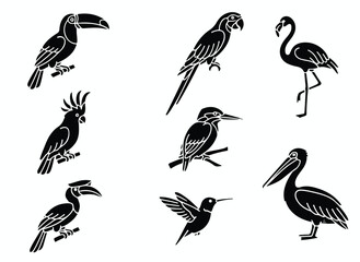 Tropical bird silhouette vector set, black exotic birds collection including toucan and parrot, 8 avian wildlife icons for nature branding © Sidra