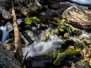 A long exposure photograph capturing the smooth, silky flow of a wild mountain stream as it cascades over moss-covered rocks within a dense coniferous forest in the Retezat Mountains, Romania. © paulmalaianu
