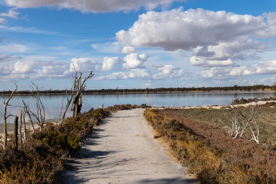 Dirt path leading to calm lagoon under cloudy sky