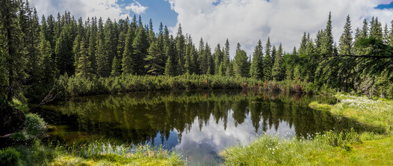 A panoramic view of Taul dintre Brazi (The Lake Among the Firs), a serene alpine tarn surrounded by a dense, lush coniferous forest in the Retezat Mountains, Romania © paulmalaianu