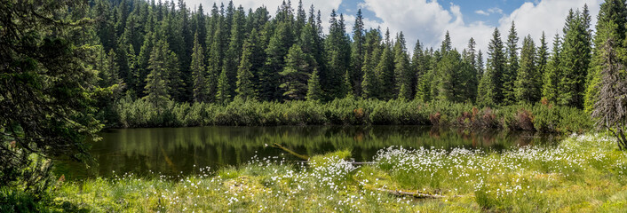 A panoramic view of Taul dintre Brazi (The Lake Among the Firs), a serene alpine tarn surrounded by a dense, lush coniferous forest in the Retezat Mountains, Romania © paulmalaianu