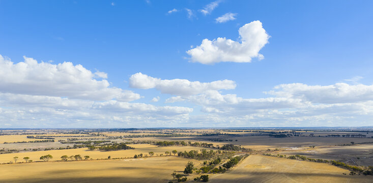 Aerial view of golden farmland under blue cloudy sky