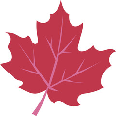 Naklejka premium Autumn Maple Leaf Illustration