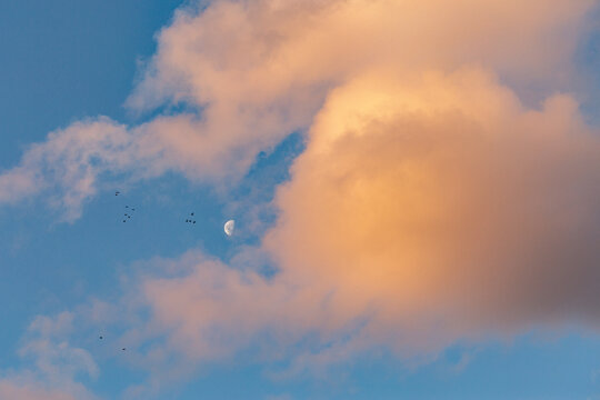Half moon in sky framed by sunset clouds