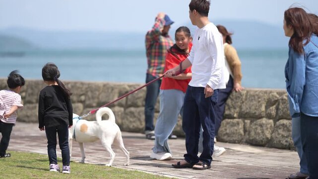 Bright day near sea with people and dogs. Woman in blue walks with white dog on leash. Children and adults enjoy sunny seaside path. Dogs and humans interact happily, casually