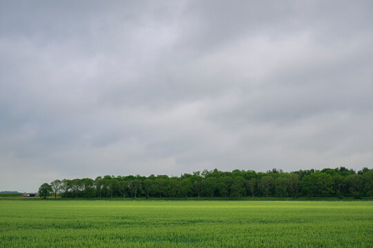 A patch of sunlight illuminates a green field in Groningen