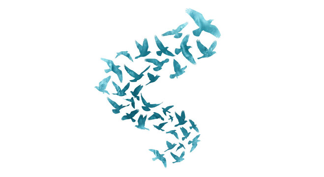 Flock of teal birds in flight forming a swirling pattern against white