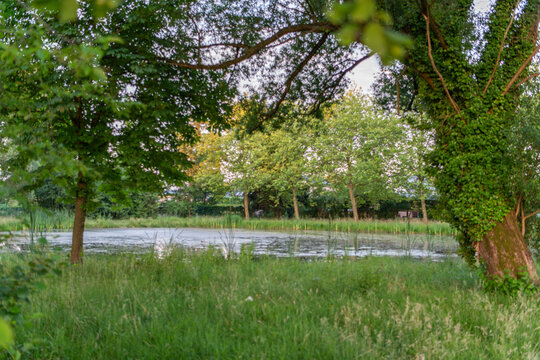 Diepenbeek, Belgium. Peaceful pond surrounded by lush trees in De Caetsweyers nature reserve