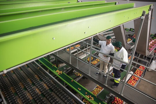 Workers talking in apple factory