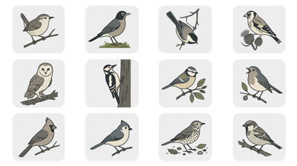 Detailed wild bird species illustration collection. © agus