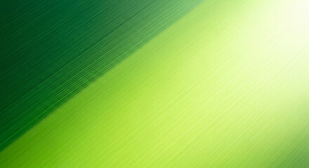 Fototapeta premium Green gradient with parallel lines, creating a sense of depth and natural texture, symbolizing growth, nature, and freshness