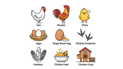 Collection of chicken-related icons with labels © Iffa