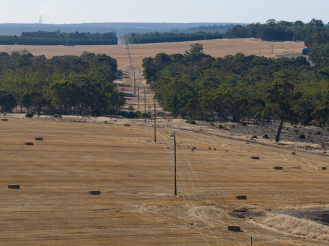 Hay bales across paddock with power lines and distant industry