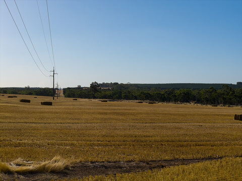 Aerial view of a wide harvested field dotted with rectangular hay bales and power lines