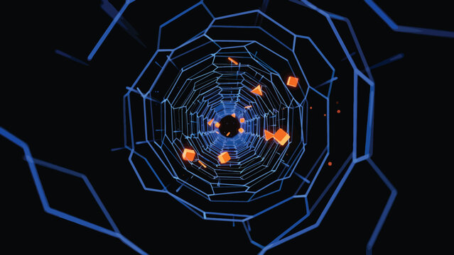 spider on web