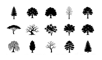 Diverse Tree Silhouettes Collection, 15 Vector Icons for Nature Graphics, Botanical Elements, Forest Design, Woodland Art © Arif