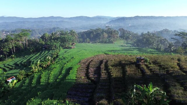 Aerial drone view of stunning terraced rice fields in Wonosobo, Central Java, Indonesia
