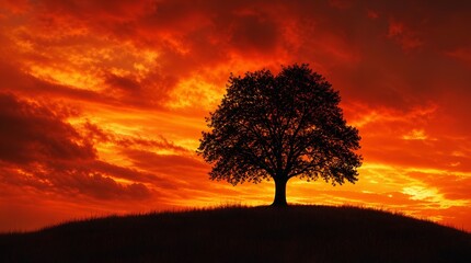 Obraz premium A lone tree stands in silhouette on a grassy hill beneath a fiery orange sunset sky, ideal for nature, resilience, solitude, or environmental campaign designs.