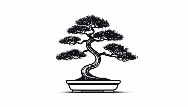 Bonsai Tree in a Pot.