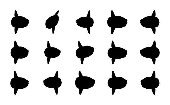 Sunfish Icons, Ocean Wildlife Silhouettes, Marine Animal Vector Graphics, Aquatic Life Collection