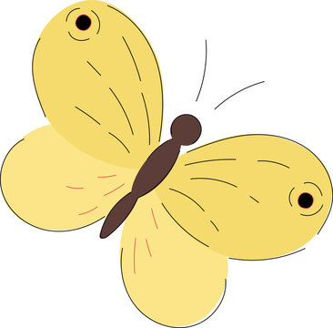 Vector illustration of yellow butterfly