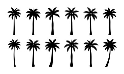 Palm Tree Silhouettes Collection, Tropical Island Flora Vector Icons, Exotic Botanical Elements for Summer Vacation and Beach Designs © Samiul