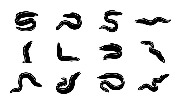 Set of 12 Black Eel Vector Icons, Marine Life Illustrations, Aquatic Animal Silhouettes for Oceanography and Wildlife Design
