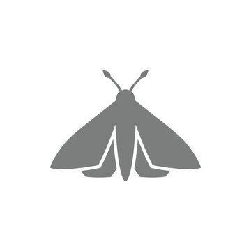 Isolated moth silhouette with detailed wings and antennae, simple graphic icon for nature and insect concepts