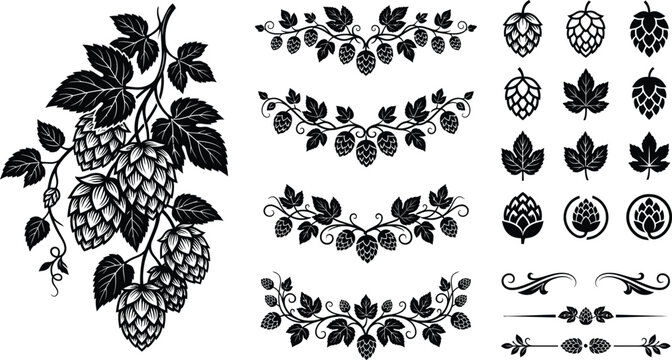 Vintage Hop Cones Botanical Floral Borders Decorative Elements Collection Vector Illustration Set